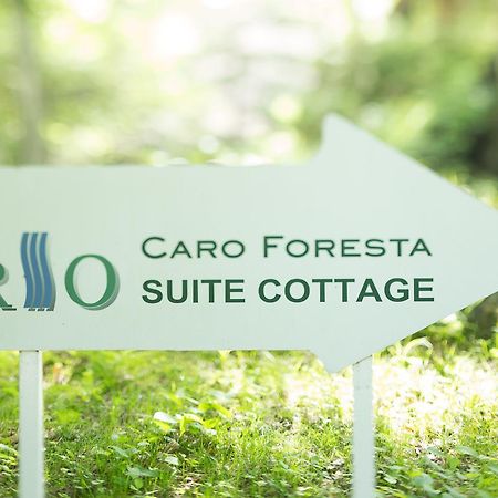 מלון טסומאגואי Caro Foresta Kita Karuizawa Rio מראה חיצוני תמונה